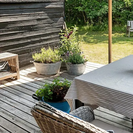 Family Reunites For Trips In Tisvilde Hegn * Vejby